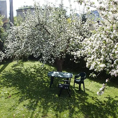 Lejlighed Basement Flat - Mieszkanie W Niskim Parterze Gdynia