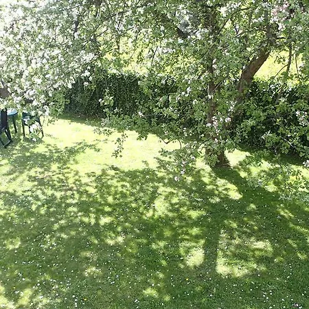 Lejlighed Basement Flat - Mieszkanie W Niskim Parterze